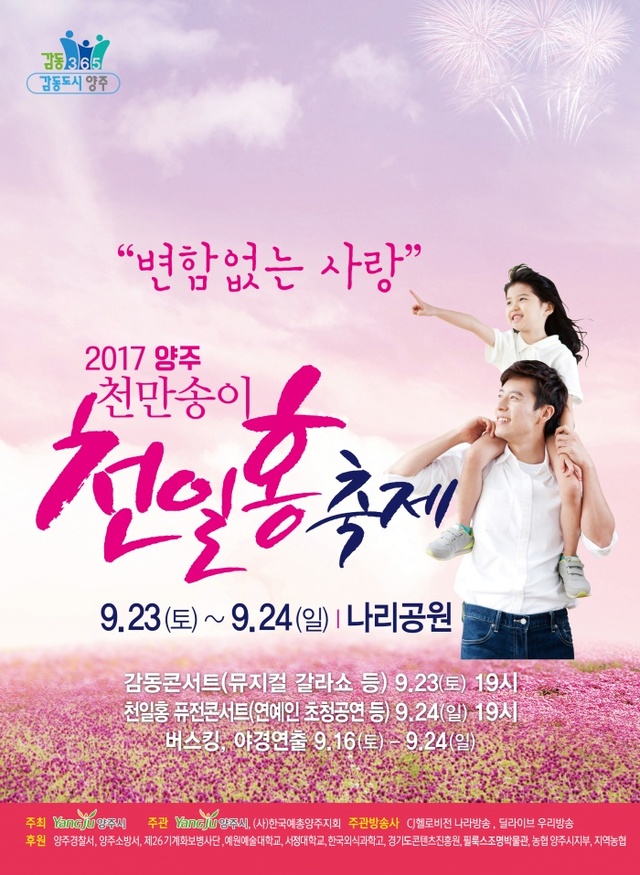 ▲ 천일홍 포스터