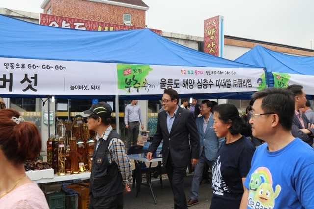 ▲ 축제장을 찾은 김선교양평군수가 부스를 돌며 주민들을 격려하고있다