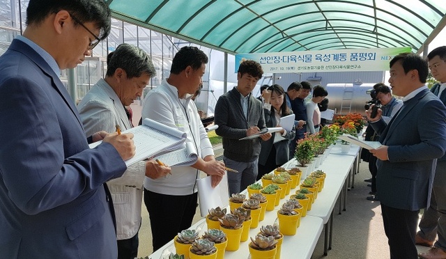▲ 선인장다육식물신품종 품평회