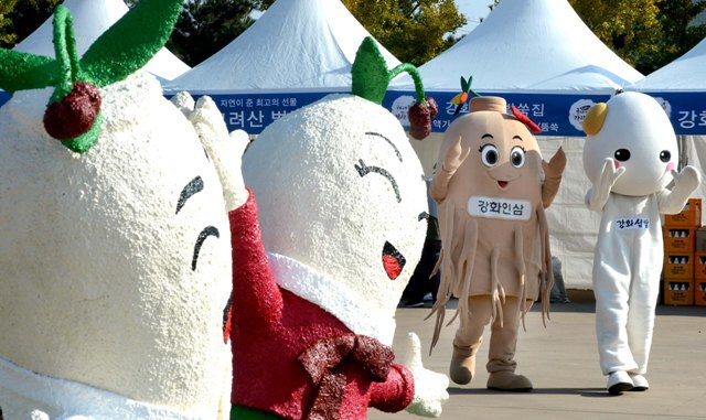 ▲ 축제 홍보에 나선 강화인삼 마스코트들이 오가는 관람객들의 시선을 붙잡고 있다.장용준기자