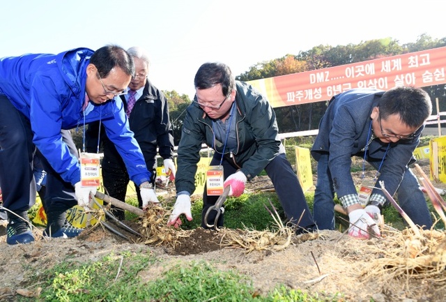▲ 제13회 파주개성인삼축제 8