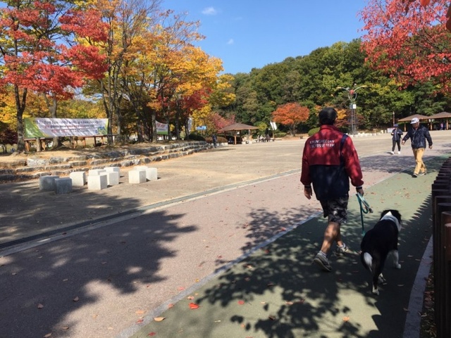 ▲ KakaoTalk_20171023_195342343