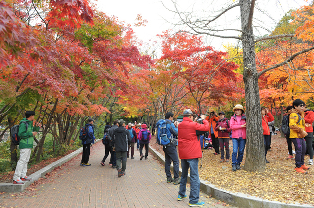 ▲ 동두천 소요산으로 단풍을 즐기기 위한 등반객들이 줄을 잇고 있다. 오는 2019년부터는 모노레일을 타고 단풍을 볼 수 있을 것으로 전망된다. 동두천시 제공