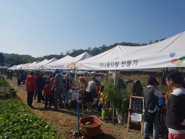 ▲ 지난 28일 광명 밤일시민주말농장에서 '2017 광명 도시농업 축제'가 개최됐다. 광명시 제공