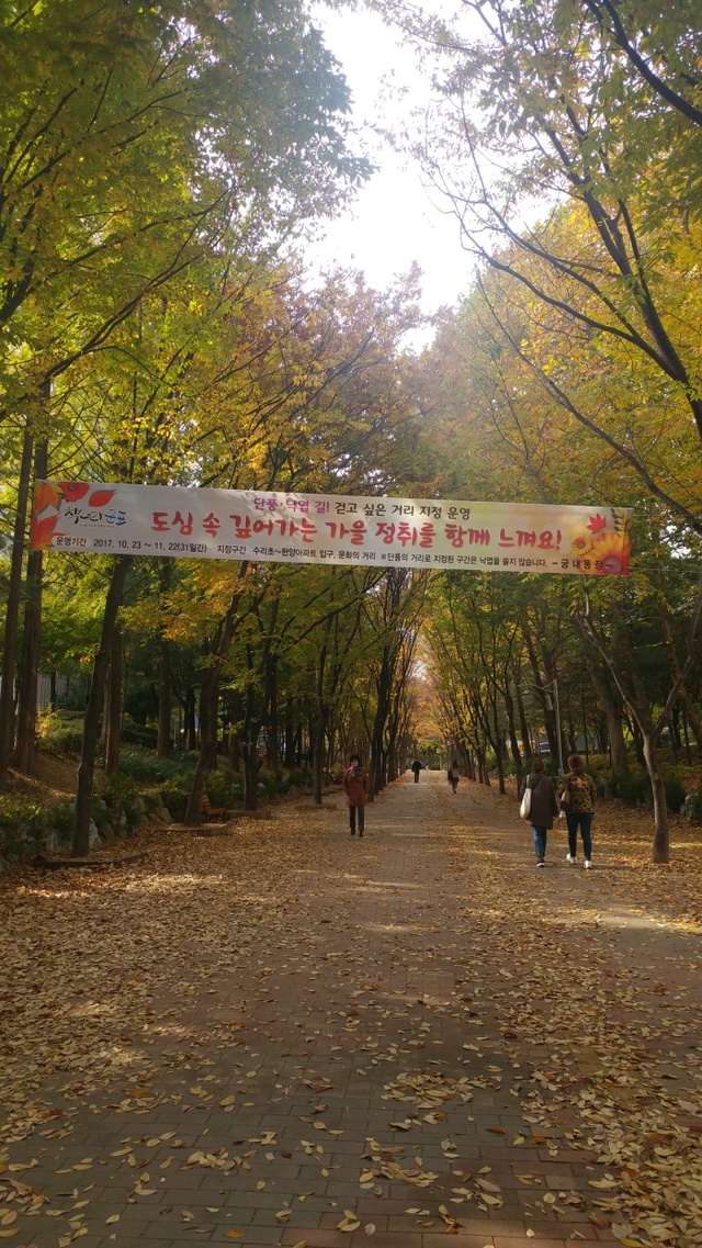 ▲ 군포-궁내동 낙엽의 거리 운영 (2)