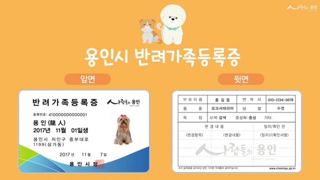 ▲ (사진) 3 용인시반려가족등록증