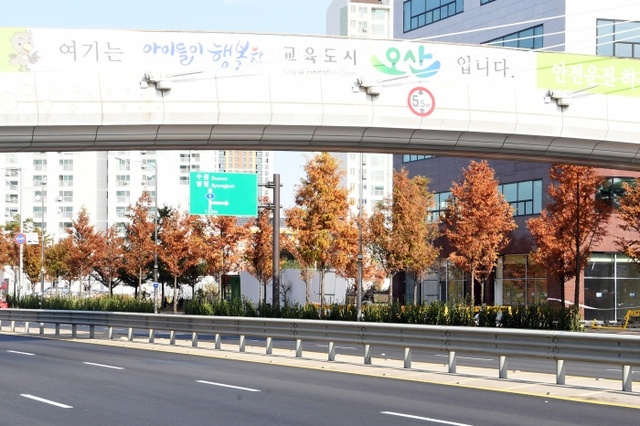 ▲ 4. 국도1호선3