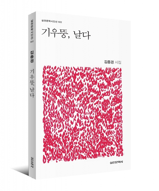 ▲ 기우뚱, 날다