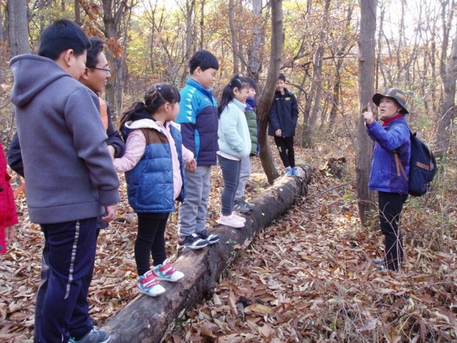 ▲ 발달장애 아동 숲체험