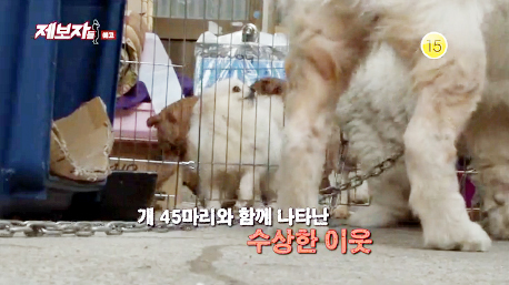▲ KBS2 ‘제보자들’ 53회