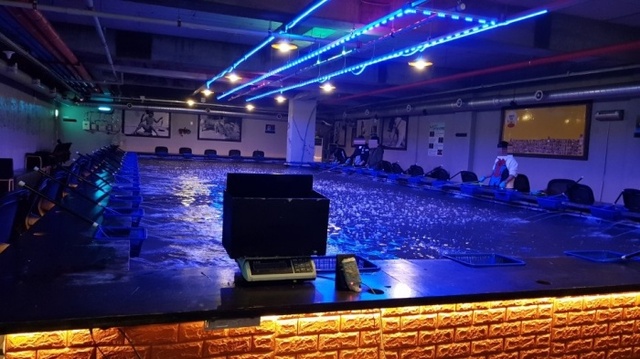 ▲ 실내낚시카페dd