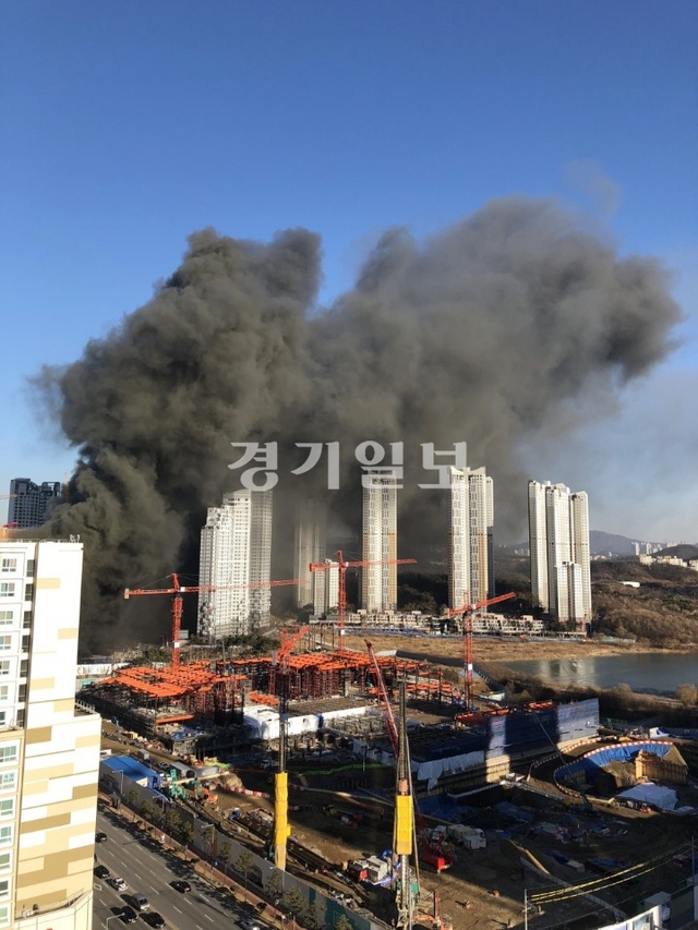 ▲ 사진=독자 제공