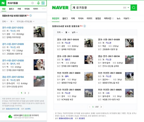 ▲ 네이버가 검색 결과에서 유기 및 실종동물 정보를 제공한다. 유기동물 검색화면 결과. 사진/네이버 제공