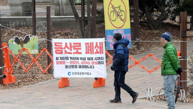 크기변환_20180107 AI여파 인천대공원 동물원 및 등산로 임시 폐쇄JYJ_6535.jpg