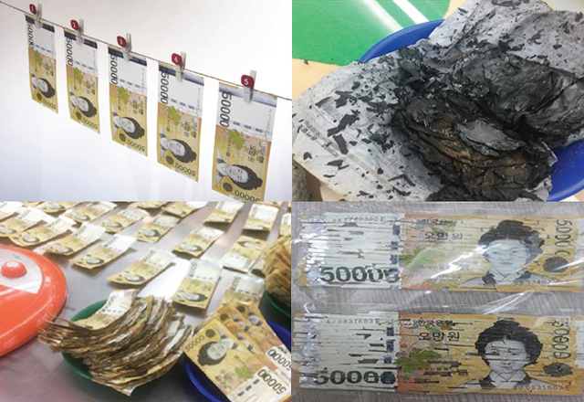 ▲ 1,2 습기 등으로 훼손된 5만원권. 3 불에 탄 지폐. 4 세단기에 손상된 지폐.