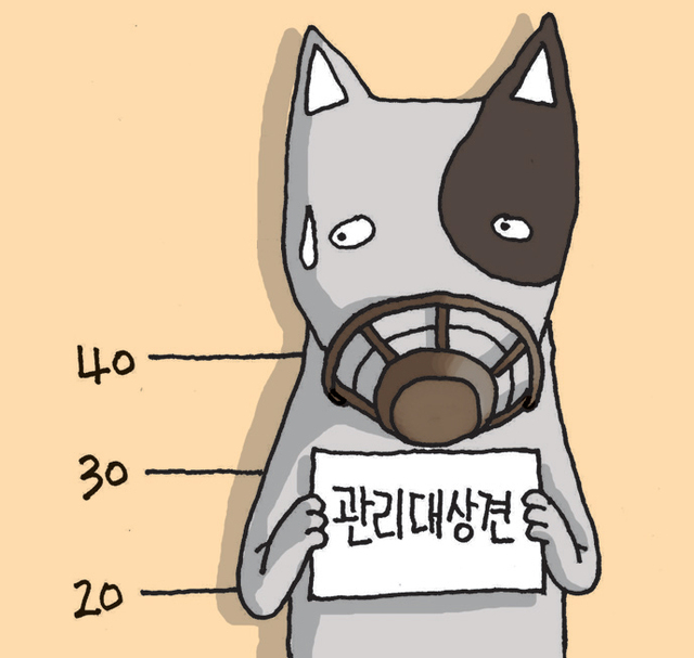 제목 없음-1 사본.jpg