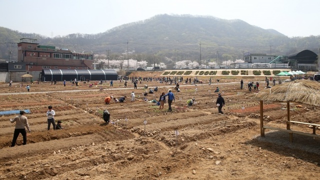 ▲ 밤일 주말농장에서 시민들이 텃밭을 경작하고 있다. 광명시 제공
