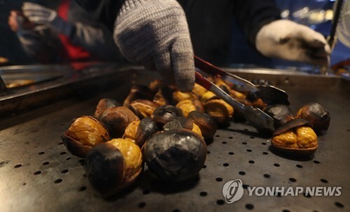 ▲ [연합뉴스 자료사진]