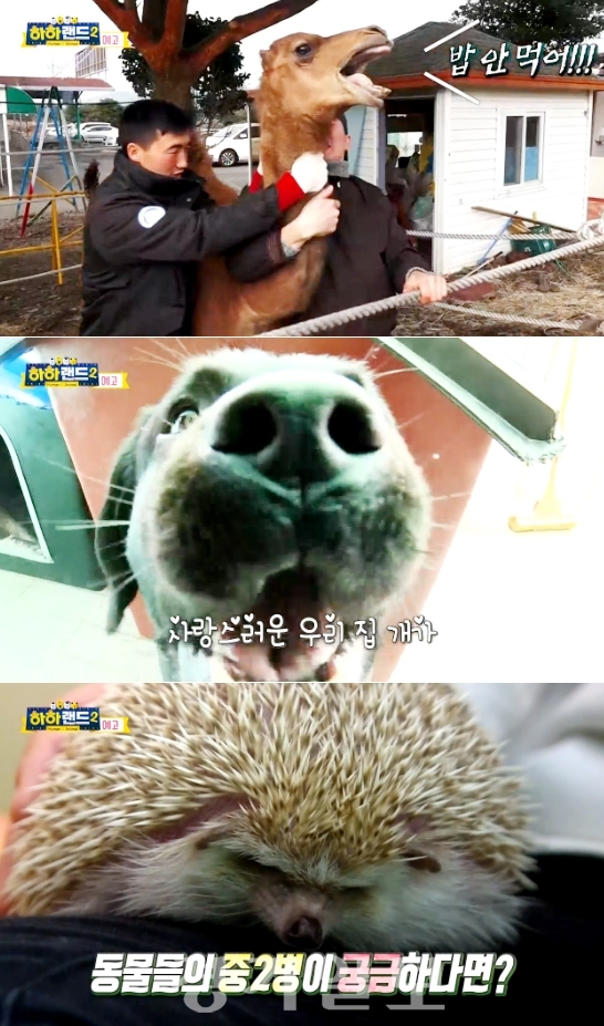 ▲ MBC ‘하하랜드 시즌2’ 3회