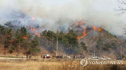 ▲ 전국 대부분 건조특보(사진은 강릉 산불). 연합뉴스
