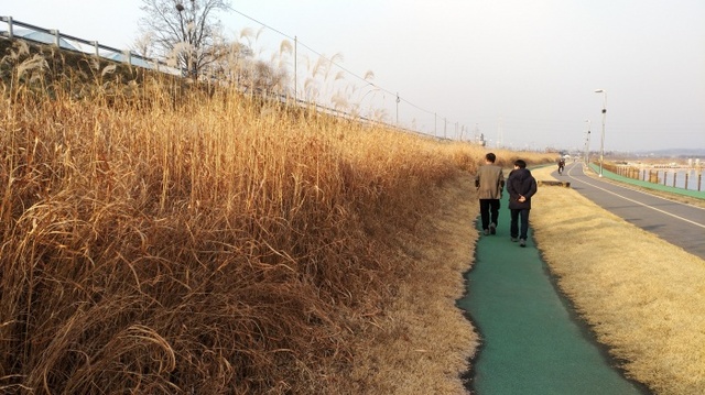 ▲ 0221 구리시 왕숙천상류 둔치, 시민을 위한 ‘잔디광장’으로 변모