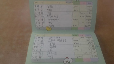 ▲ 1사 1교 금융교육 우수사례로 선정된 서울 영등포초등학교 학생이 작성한 용돈기입장. 사진/금융감독원