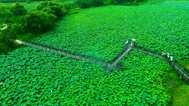 ▲ 3경 경안천 습지생태공원