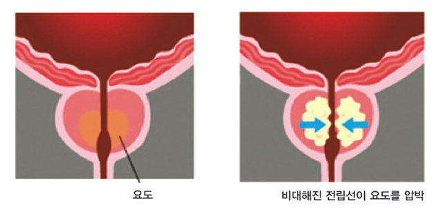 제목 없음-2 사본.jpg