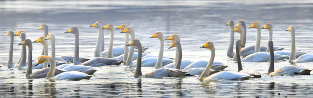 ▲ IMG_0131 (2)