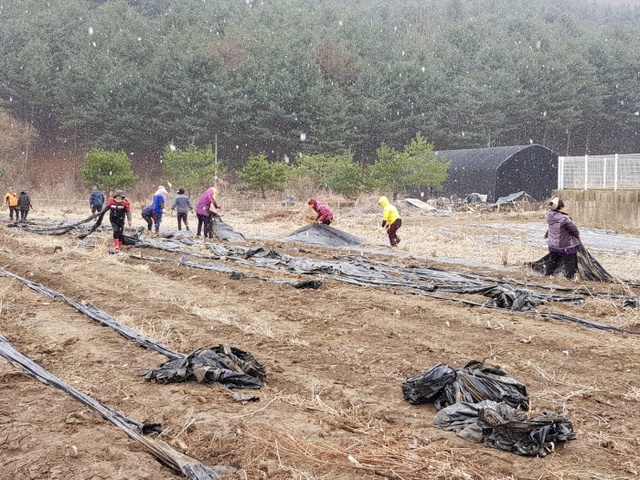 ▲ 광주시 남종면 농민단체, 봄맞이 농경지 환경정비활동 (1)