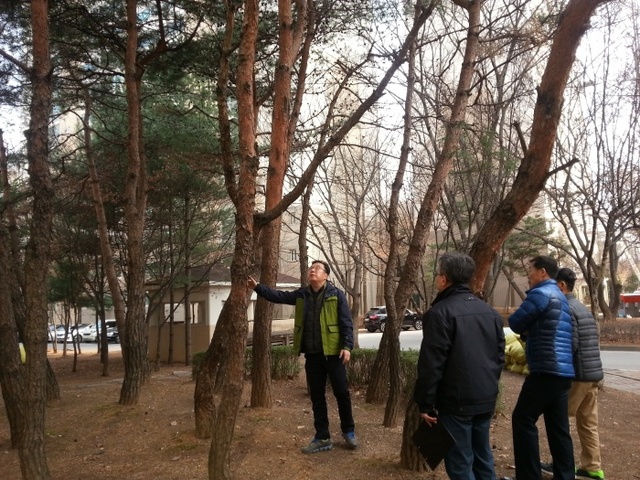 ▲ 조경기술 현장자문 사진 (1)