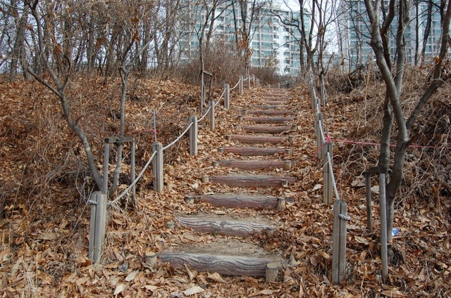 ▲ 무단으로 설치한 산책로