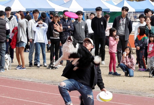 ▲ (사진) 2-3 31일 반려동물 나눔축제