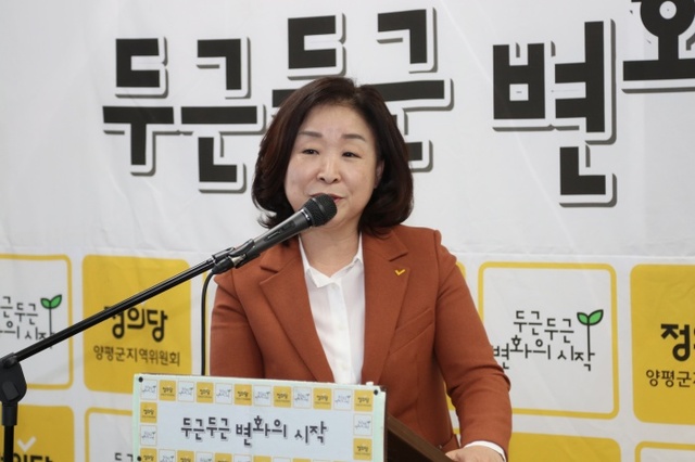 ▲ 심상정 의원