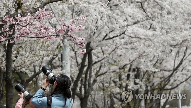 ▲ 사진=연합뉴스