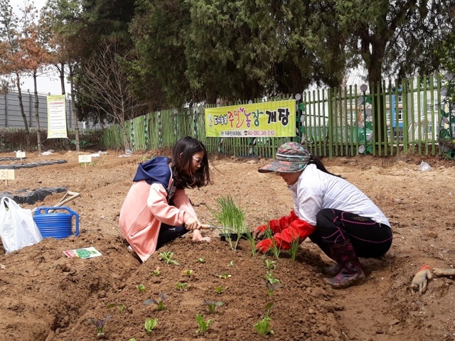 ▲ 180419부곡동_주말농장