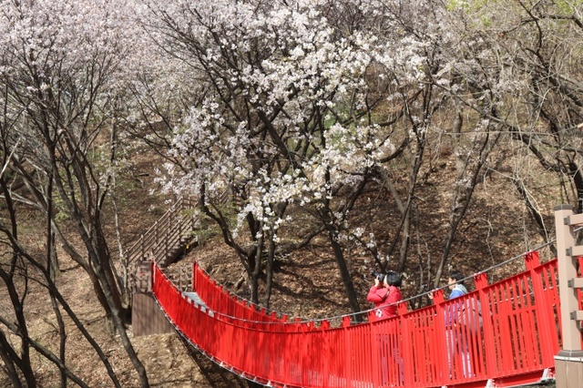 ▲ 쉬자파크 산책로에 설치된 출렁다리