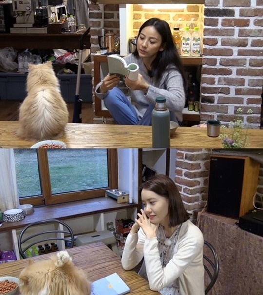 ▲ 사진=JTBC '효리네 민박2'