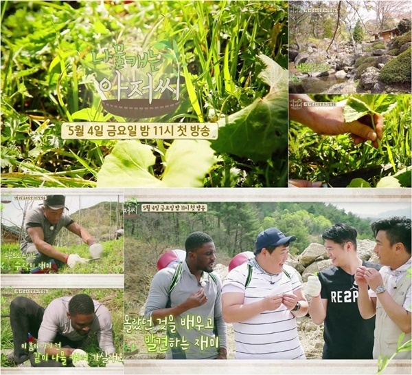 ▲ '나물 캐는 아저씨' 티저 예고 화면. KBS