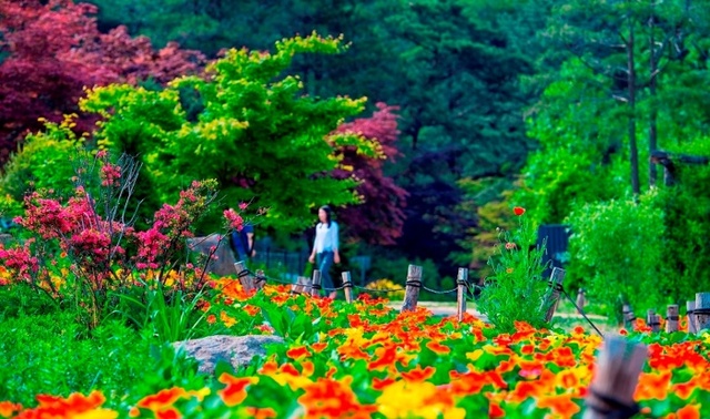 ▲ 산들소리수목원 2