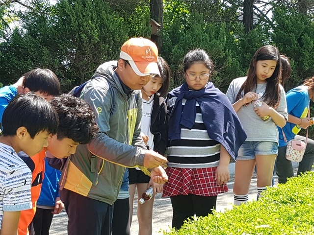 ▲ 연라초 숲생태체험(3)