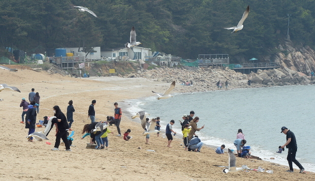 크기변환_20180513 휴일 봄마중 나간 영종도 왕산해수욕장JYJ_8408.jpg