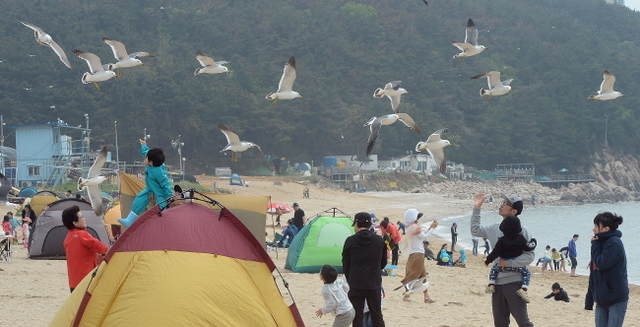 크기변환_20180513 휴일 봄마중 나간 영종도 왕산해수욕장JYJ_8478.jpg