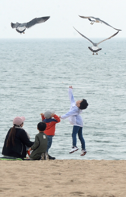 크기변환_20180513 휴일 봄마중 나간 영종도 왕산해수욕장JYJ_8535.jpg