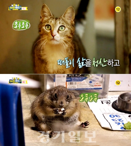 ▲ MBC ‘하하랜드 2’ 14회
