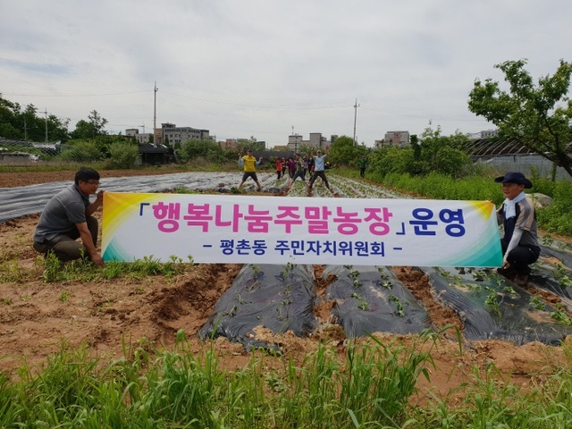 ▲ 평촌동 행복나눔농장