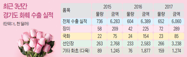▲ 고덕원예무역(접목선인장) 1