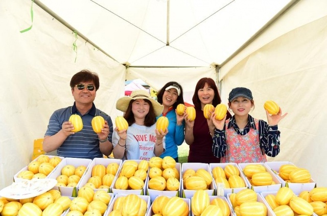 ▲ 01_금사참외축제 열린다 (1)