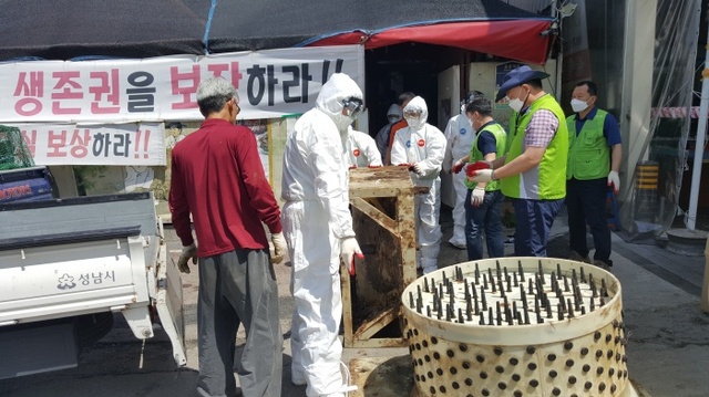 ▲ 모란시장 00축산 불법 도축시설 행정대집행 중 (1)