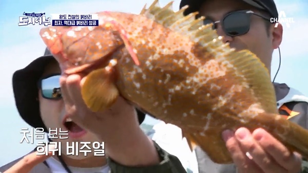 ▲ '도시어부'에서 최자가 42cm 붉바리를 잡는 모습을 보였다. 방송 캡처